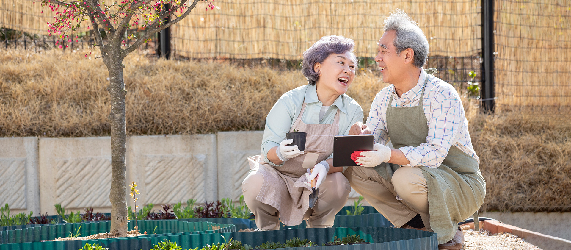 남부노인복지관